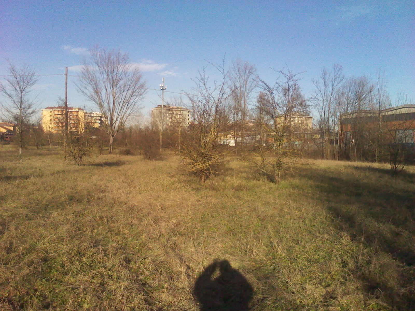 buoni